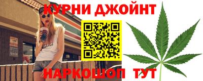 дмт Кингисепп